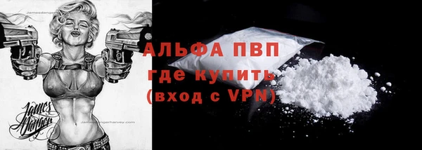 ПСИЛОЦИБИНОВЫЕ ГРИБЫ Осинники