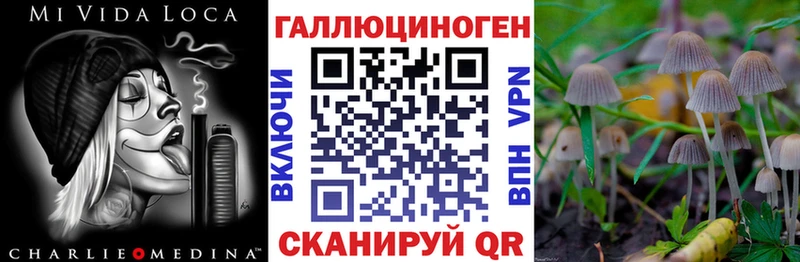 Галлюциногенные грибы Psilocybe  Горняк 